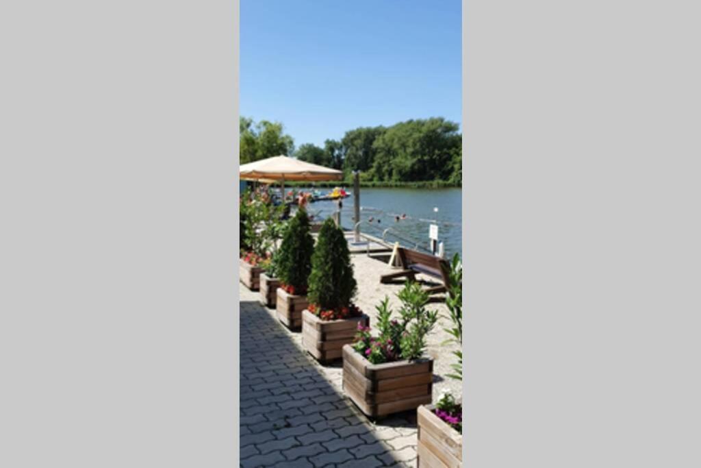Villa Éva Háza Nyugalom/Pihenés/Relax Sopron Esterno foto
